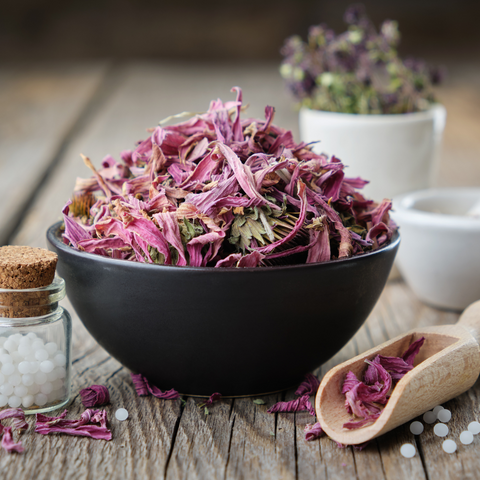 Echinacea Petals in a bowl - Antioxi