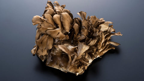 Maitake_Mushroom_Antioxi