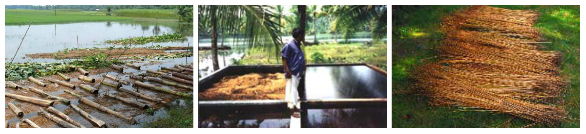 Linen Flax Retting Process