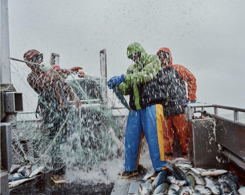 The crew harvesting fish in some particular bad weather.