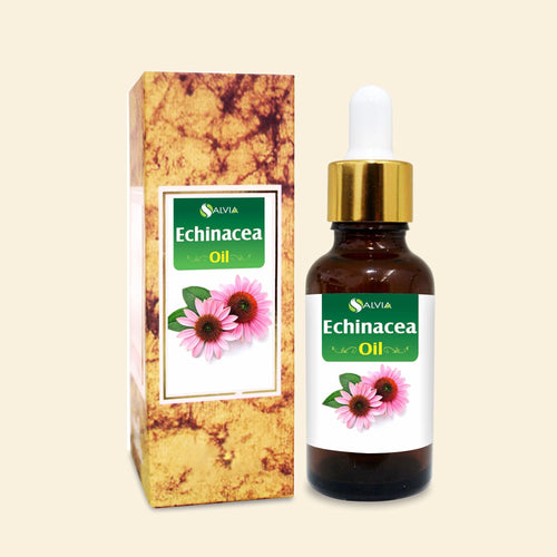 Echinacea Oil for skin