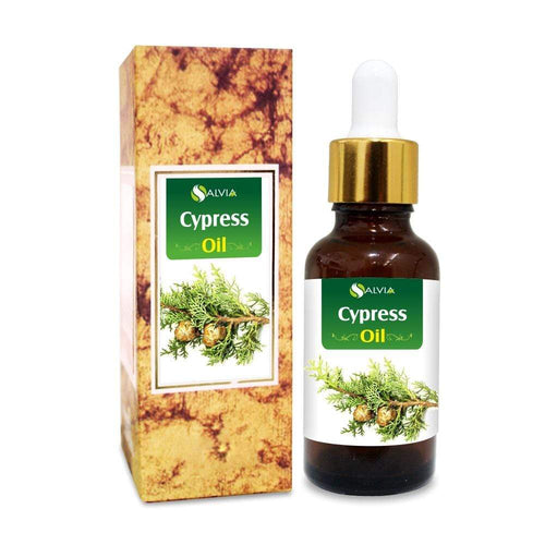 Cypress Oil (Cupressus sempervirens) 100% Natural Pure Essential Oil