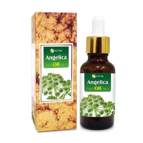 Angelica Essential Oil, 100% Pure & Natural