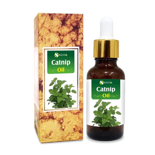 Catnip Oil Pure Undiluted Therapeutic Grade Essential Oil
