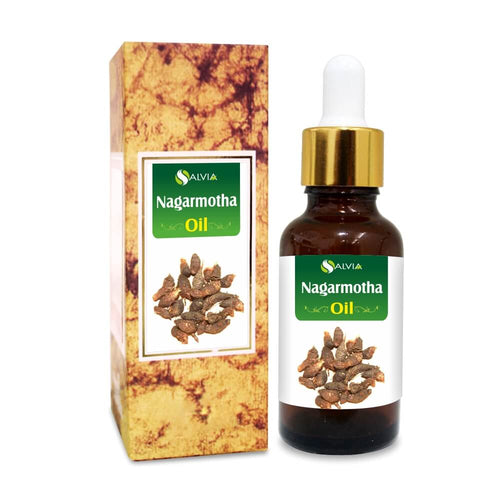 Nagarmotha Oil (Cyperus) Undiluted Pure Essential Oil