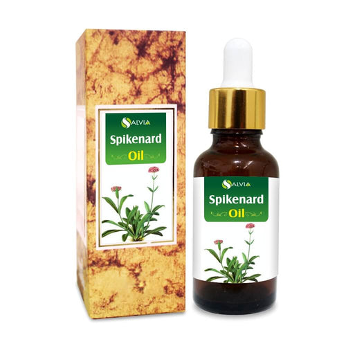 Spikenard Oil (Nardostachys jatamansi) Natural Essential Oil