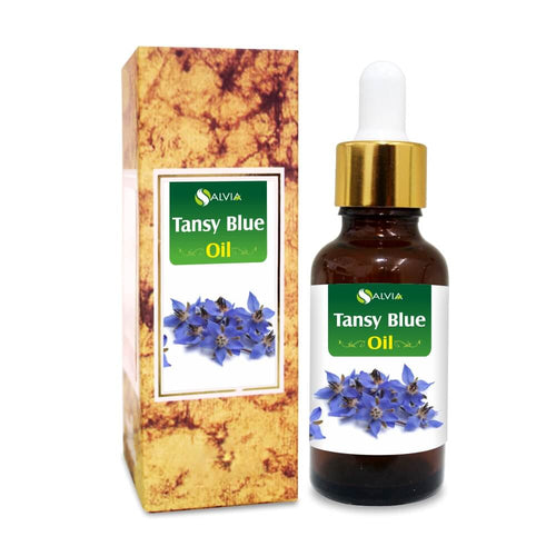 Tansy Blue Oil (Tanacetum Vulgare) Pure Undiluted Natural Essential Oil