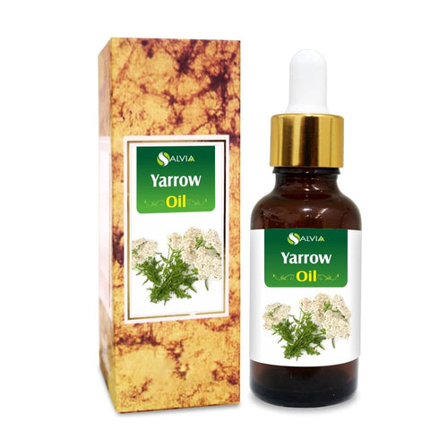 Yarrow Essential Oil