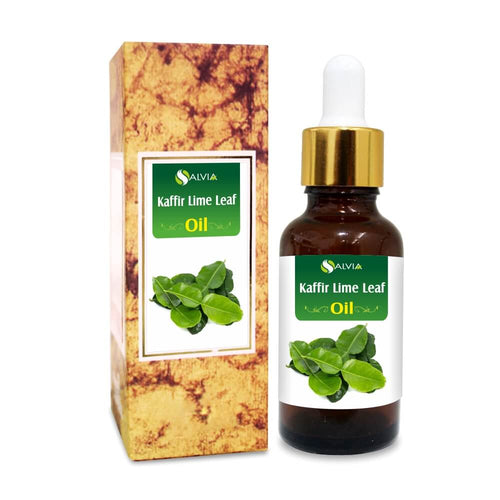 Kaffir Lime Leaf Oil (Citrus Hystrix) Natural Essential Oil