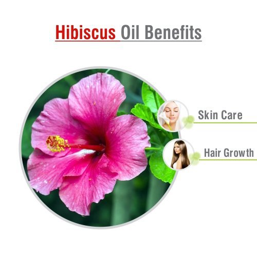 Hibiscus Organic Carrier Oil