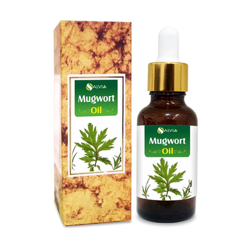 Mugwort Essential Oil