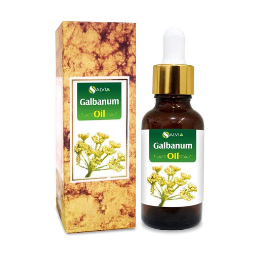 Galbanum Oil (Ferula-Galbaniflua) 100% Natural Pure Essential Oil