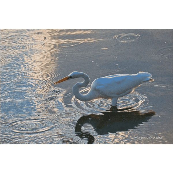 Great Egret in patterns, Photography on Canvas Art 