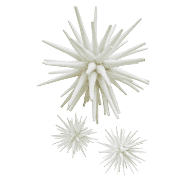 White Sea Urchin - Three Sizes