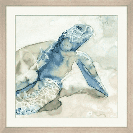 Translucent Turtle 1