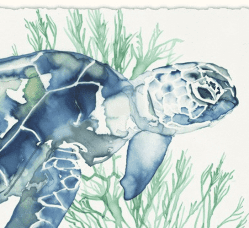 Buoyant Sea Turtle 1