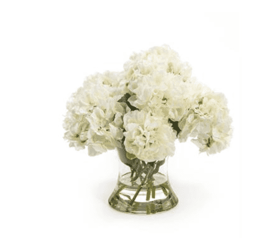 White Hydrangea Arrangement in Vase