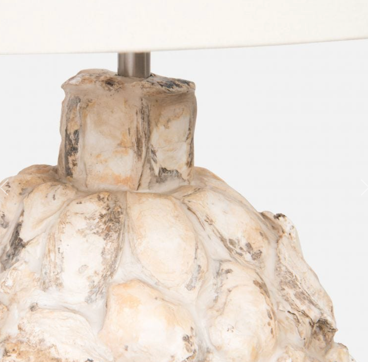 Maribel Oyster Shell  Lamp