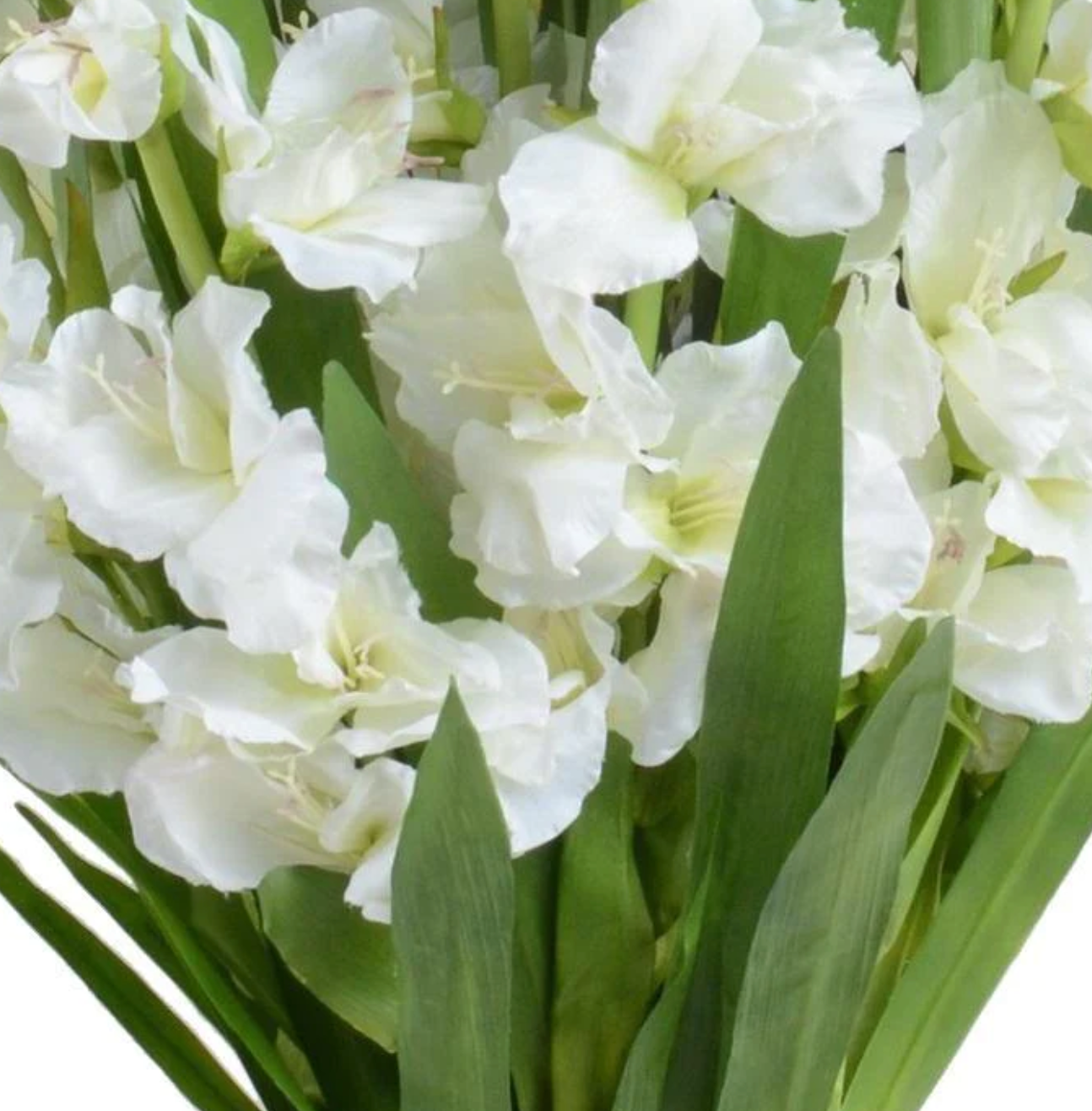 Gladiolus Tall Arrangement