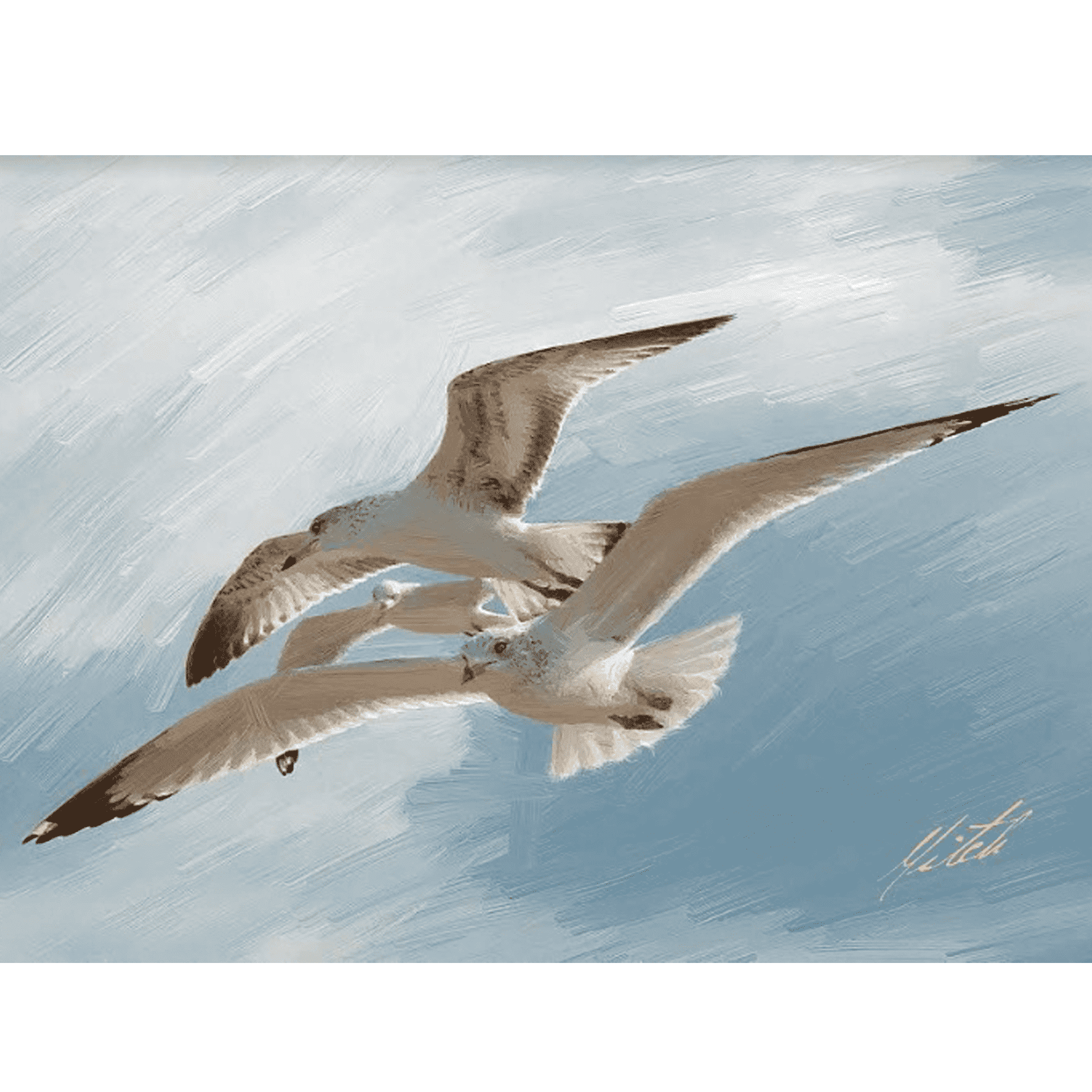 Seagull Giclee Framed