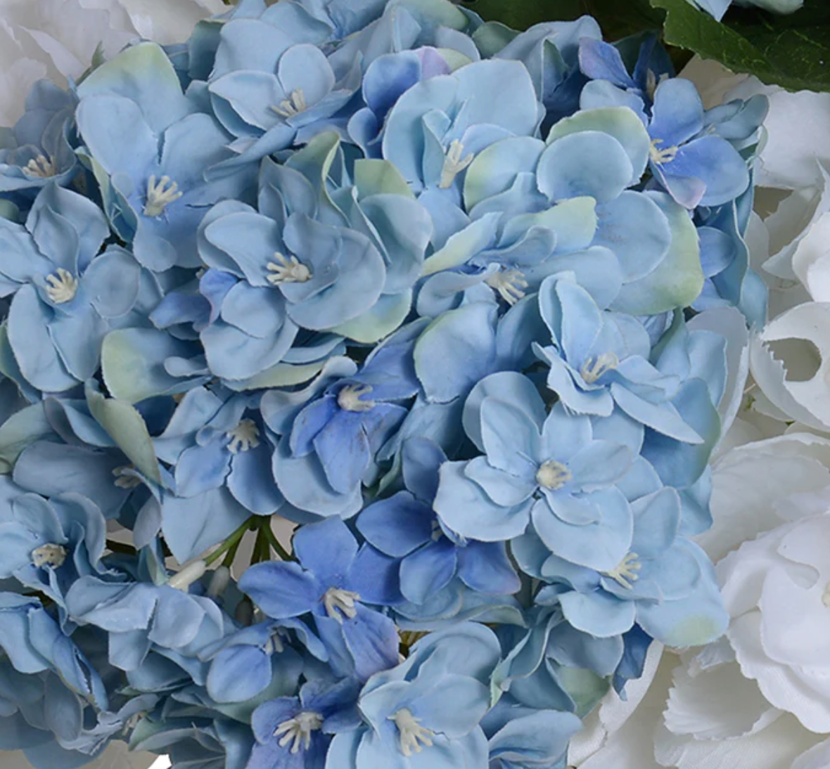 Hydrangea Blue & White Arrangement