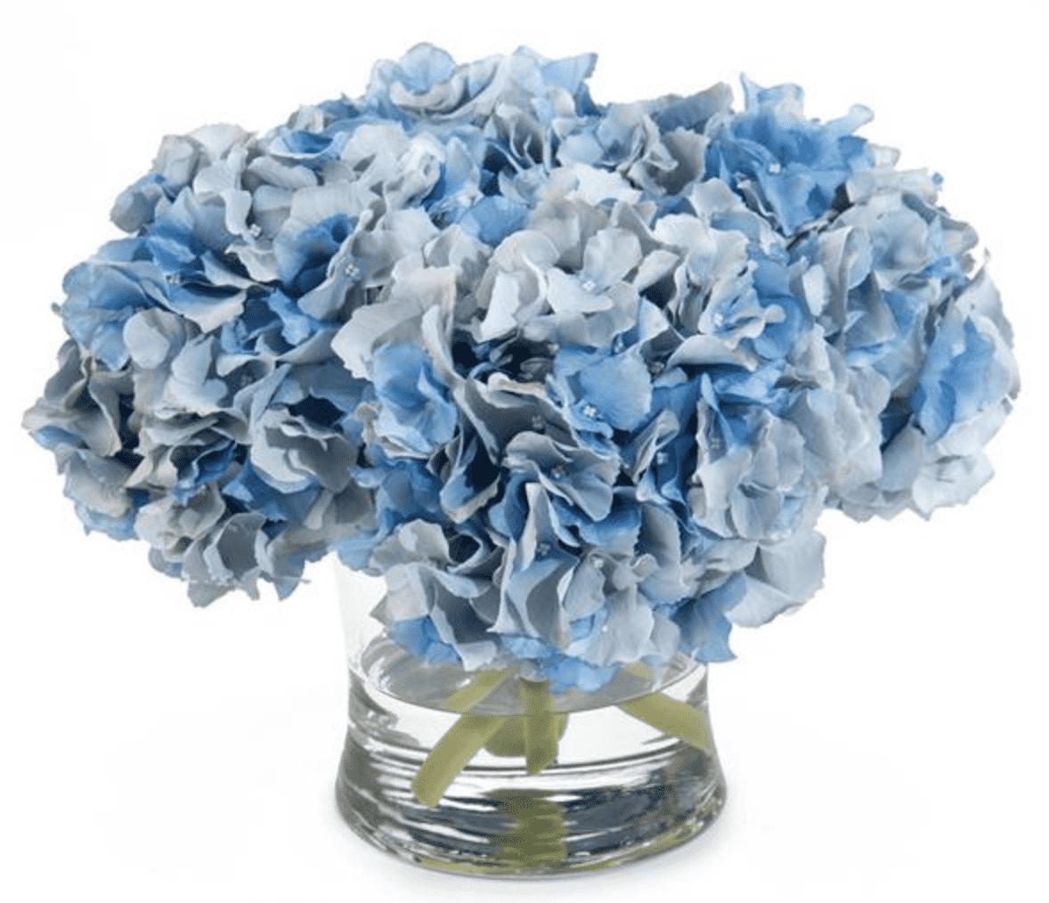 Blue Hydrangeas in Vase