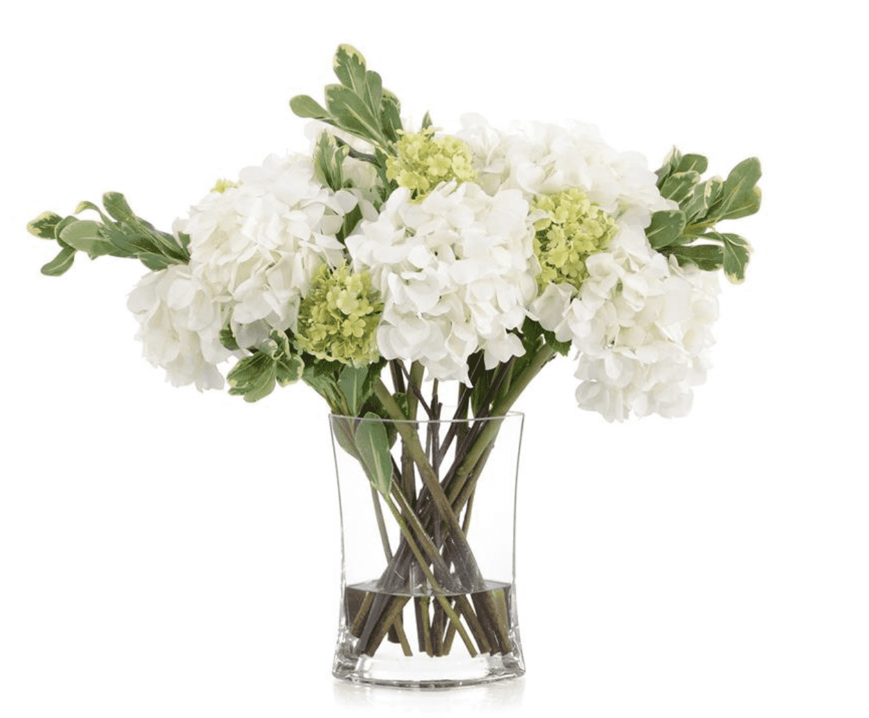 Dove White Hydrangeas & Green Snowballs in Vase