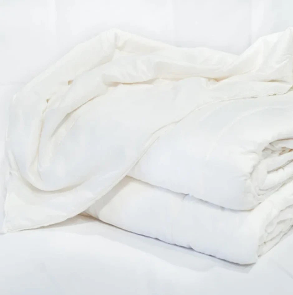 Mulberry Silk Queen Sheet Set