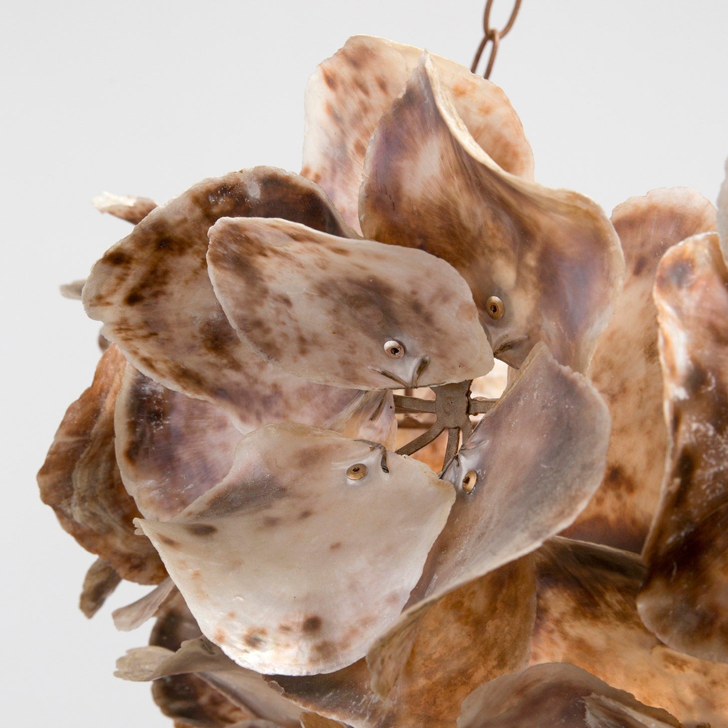 Oyster Shell Petal Chandelier