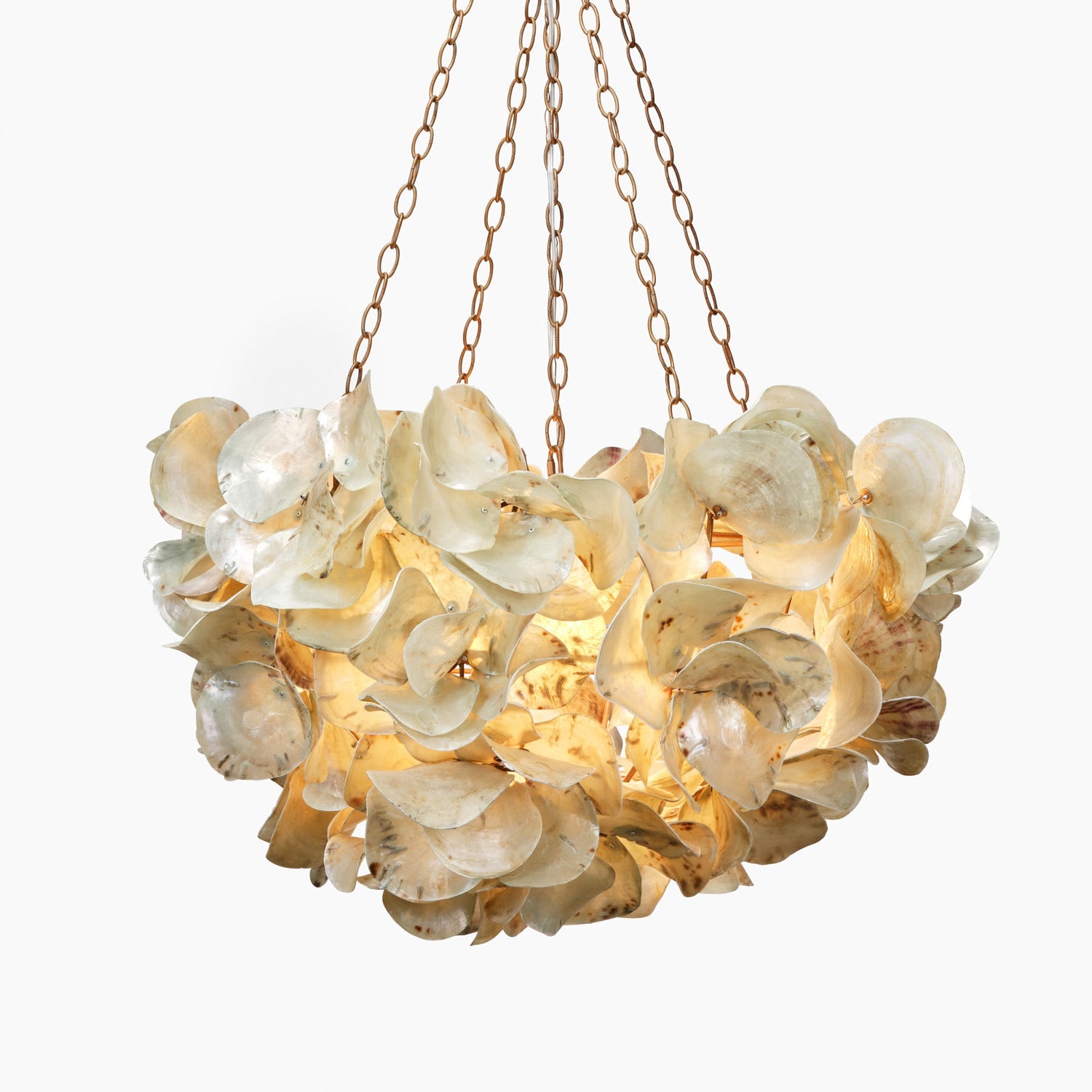 Oyster Shell Petal Chandelier