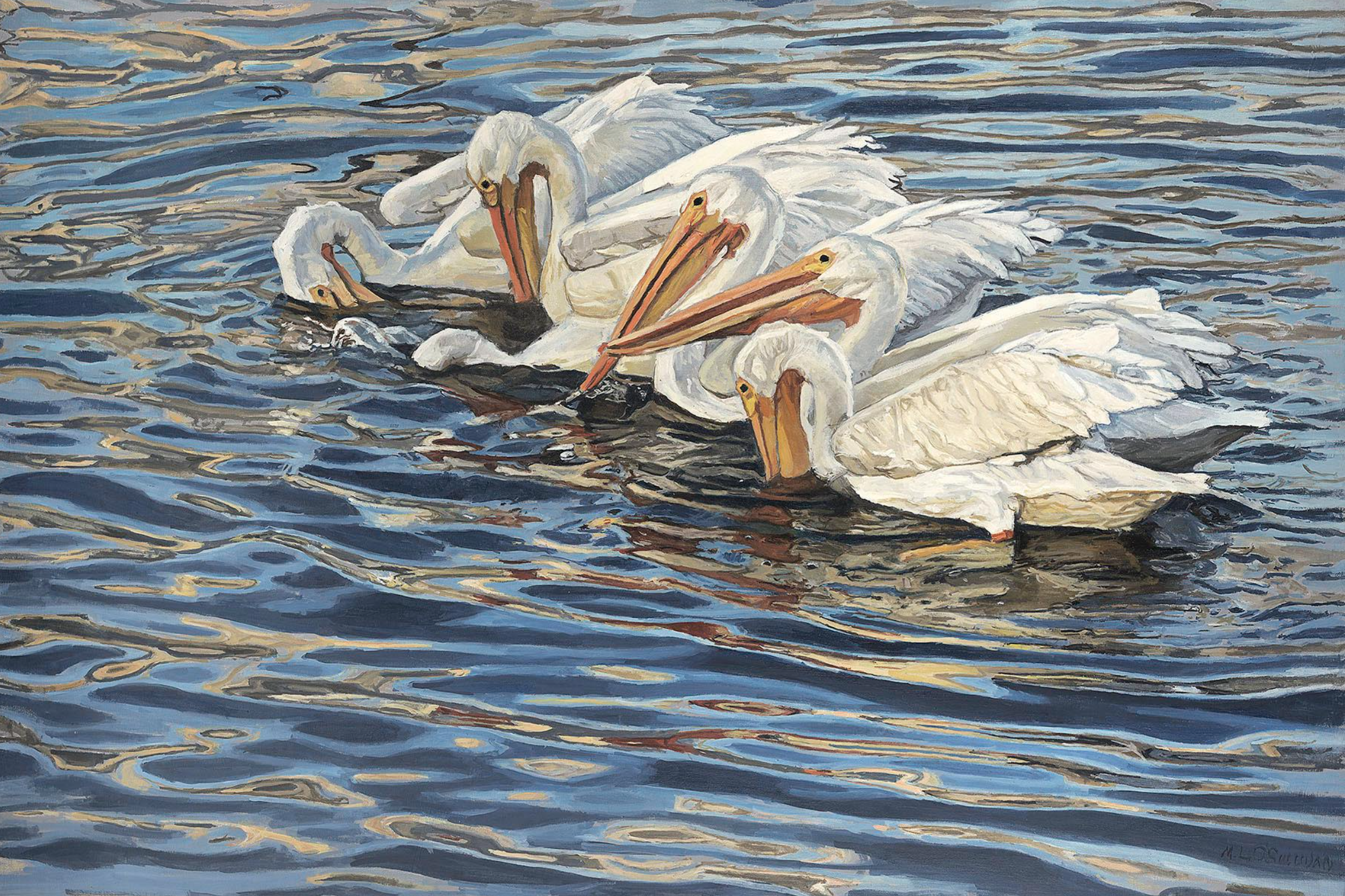 Six White Pelicans Giclee