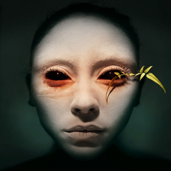 dave mckean photo