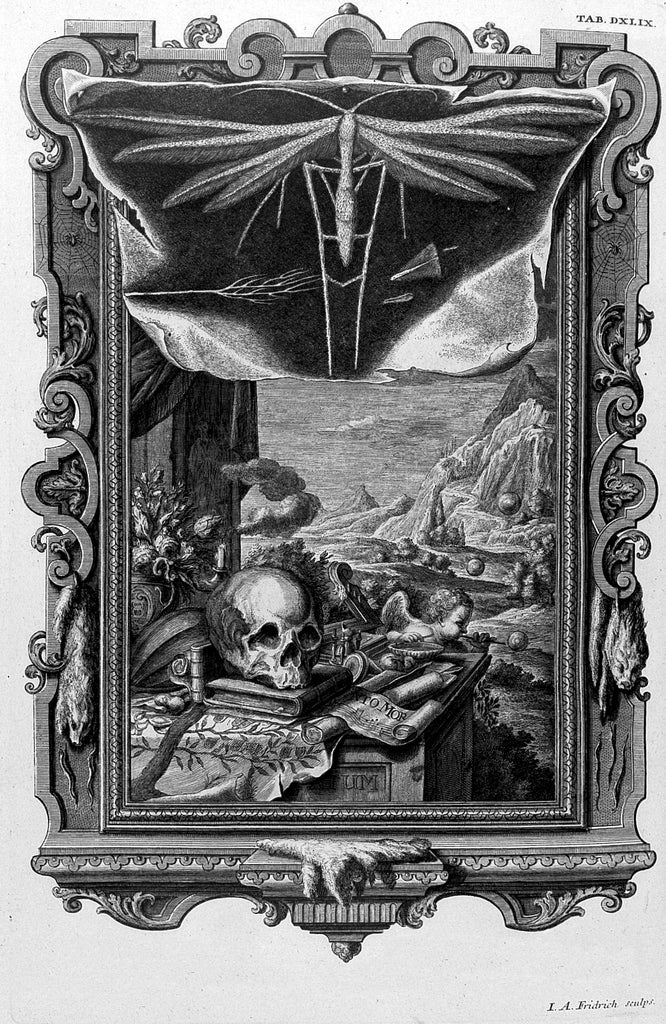 Scheuchzer, 1731-33: memento mori
