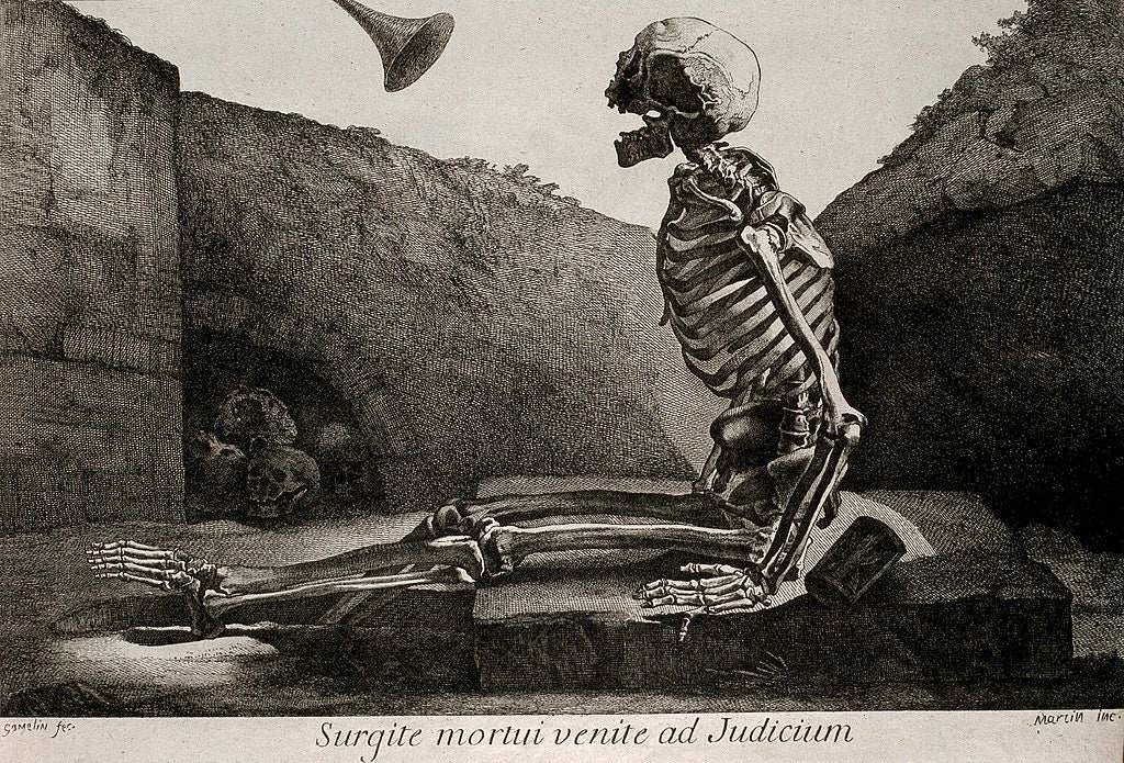 skeleton-memento-mori art