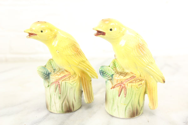 yellow salt and pepper shakers