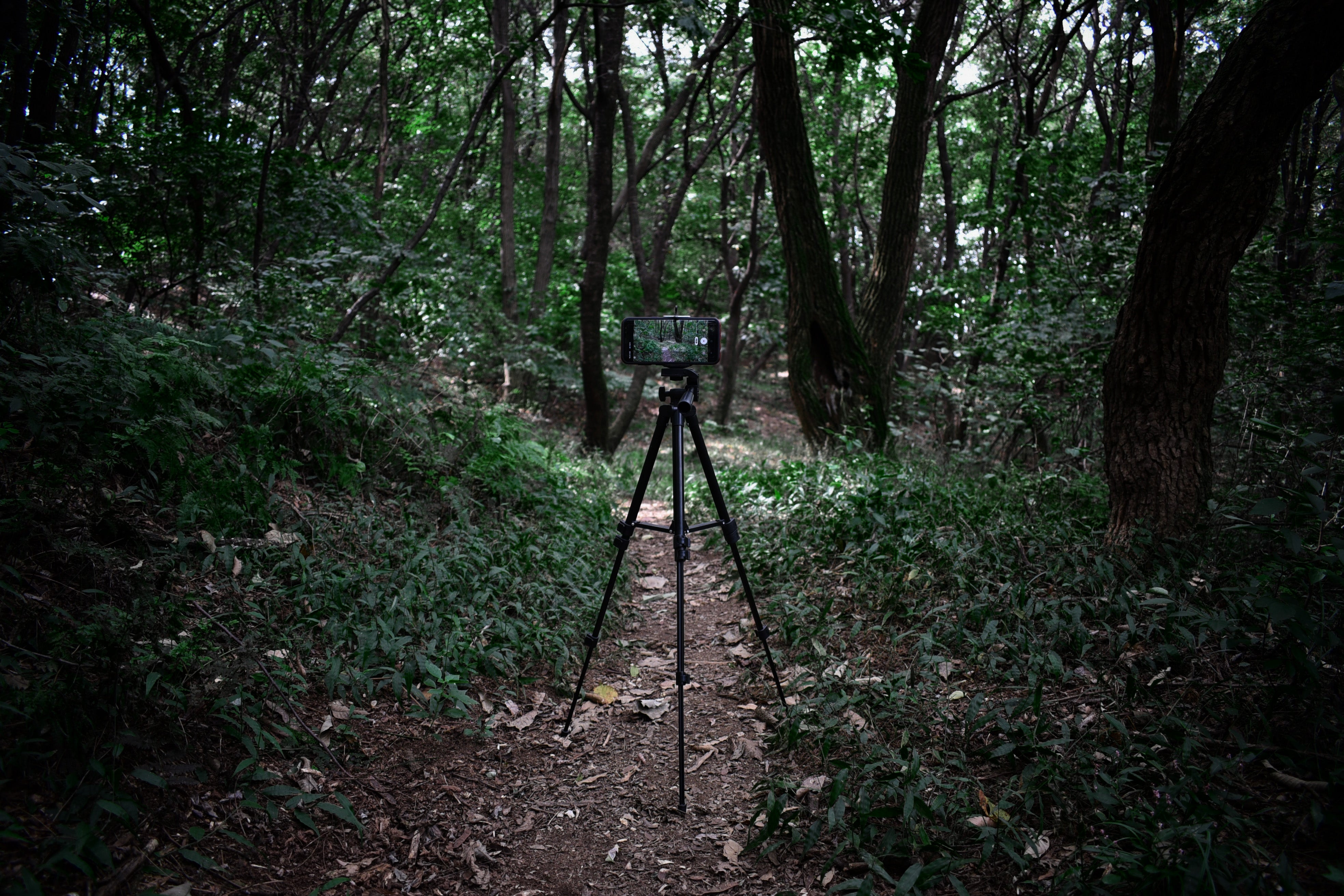 Trail Camera TC22