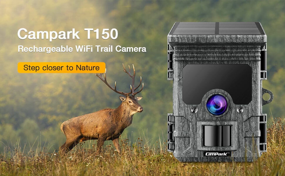 wildlife camera