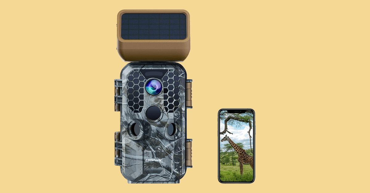 cost-effective hunting cameras