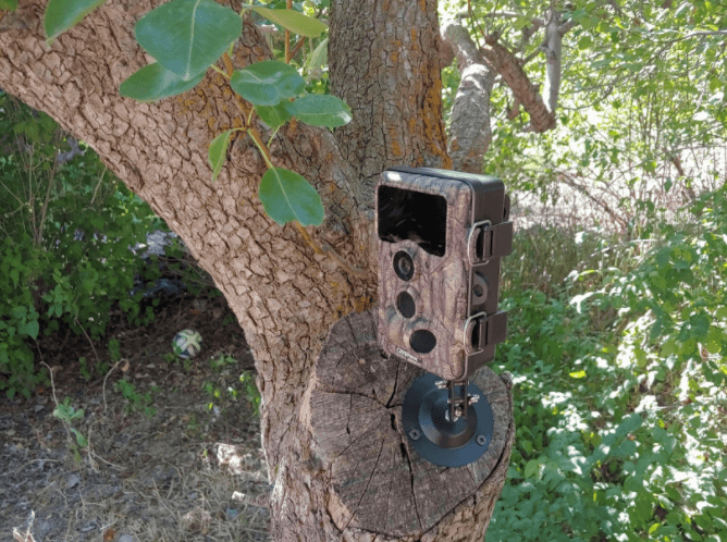 trail camera