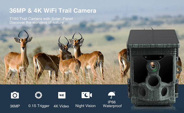 Why Trail Cameras are the Best Tool for Monitoring Wildlife