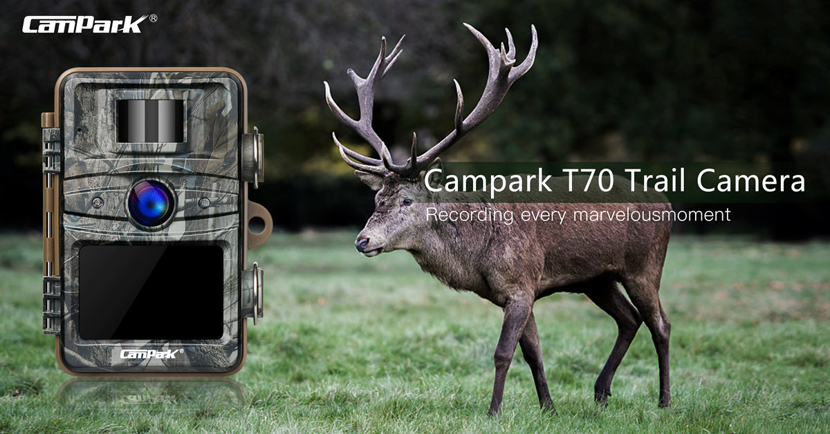campark trail camera 14mp 1080p