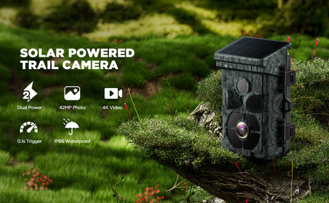 trail camera