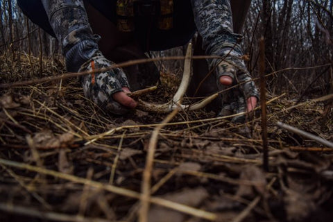 TOP 3 SHED HUNTING TIPS