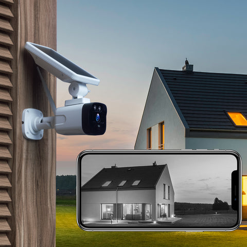 IP cameras can provide network intelligence and remote management capabilities