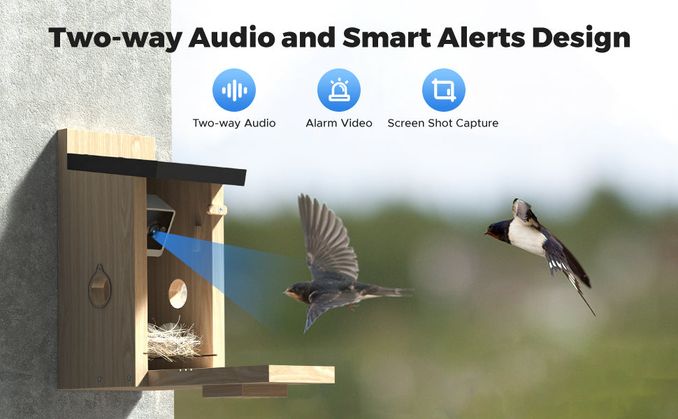 Dual Camera Smart Bird House