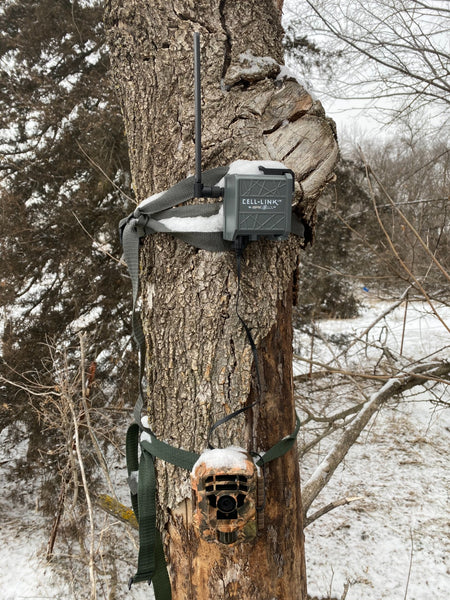 Campark Trail Camera in 2022