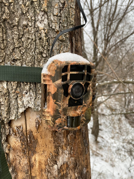 campark trail camera