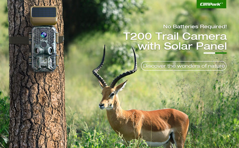 4K HD solar-powered outdoor hunting camera