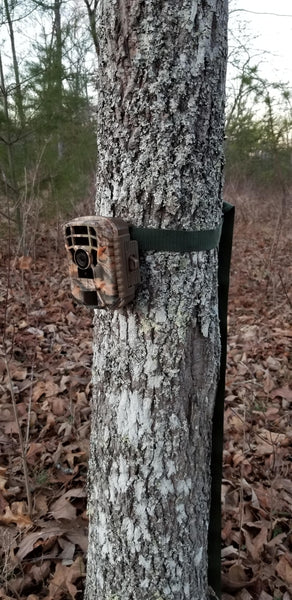 Campark Trail Camera in 2022