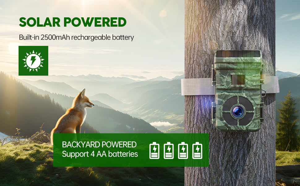 Batteries for Trail Cameras  Rechargeable and Lithium Battery